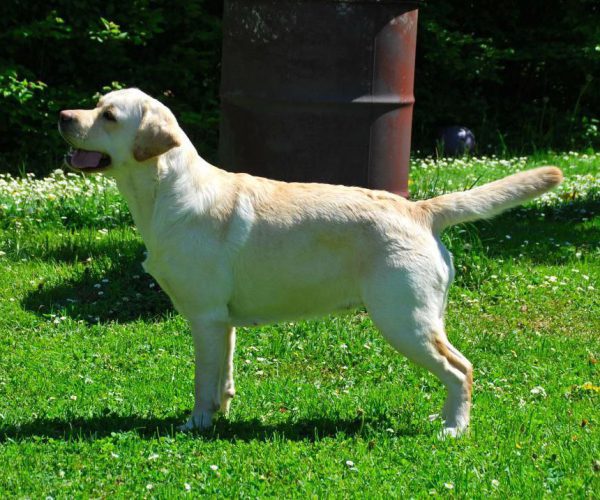 WILMA2